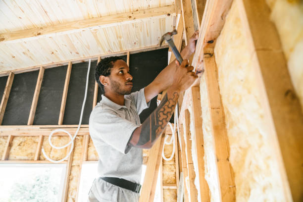 Trusted Adelino, NM Insulation Contractor Experts